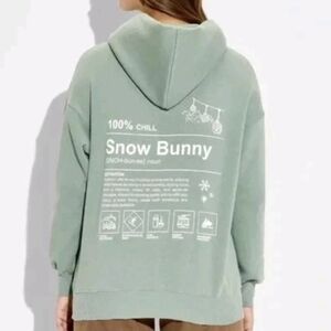 Target Wild Fable Viral Chill SNOW BUNNY SKI Hoodie Women's Green